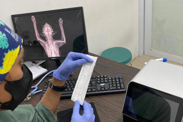 Kami Melayani cek darah (hematologi) untuk pengecekan kesehatan